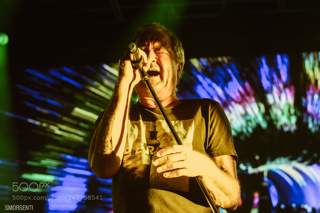 Nikon D7200 sample photo. Deep purple - buenos photography