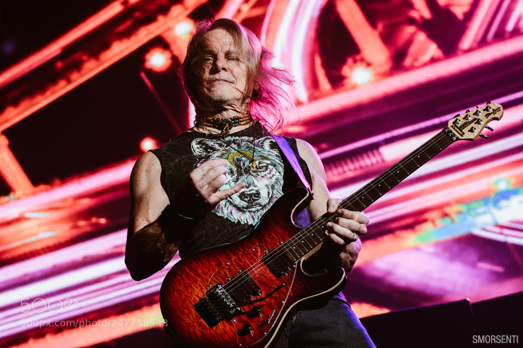 Nikon D7200 sample photo. Deep purple - buenos photography