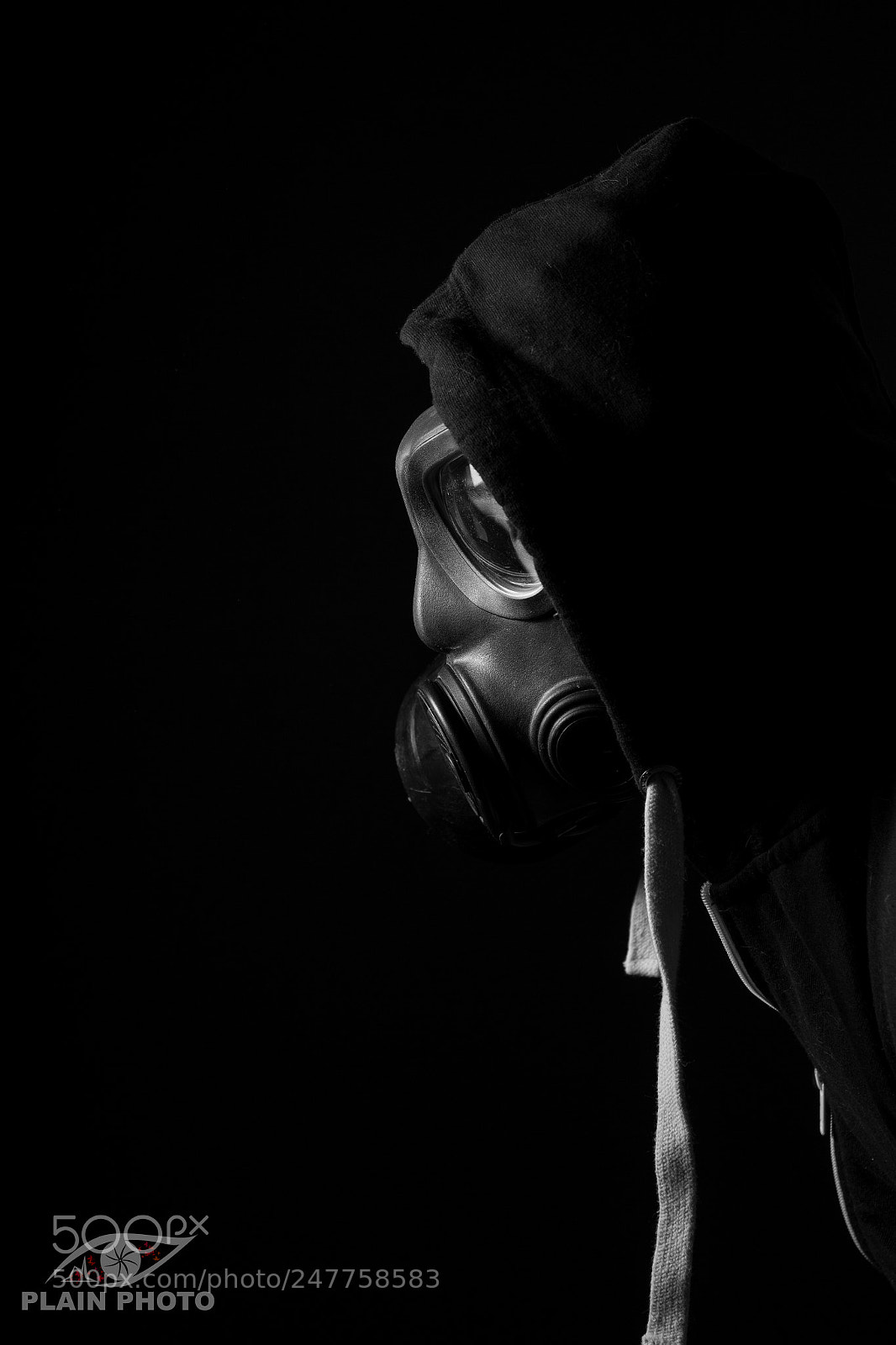 Canon EOS 600D (Rebel EOS T3i / EOS Kiss X5) sample photo. Masked photography