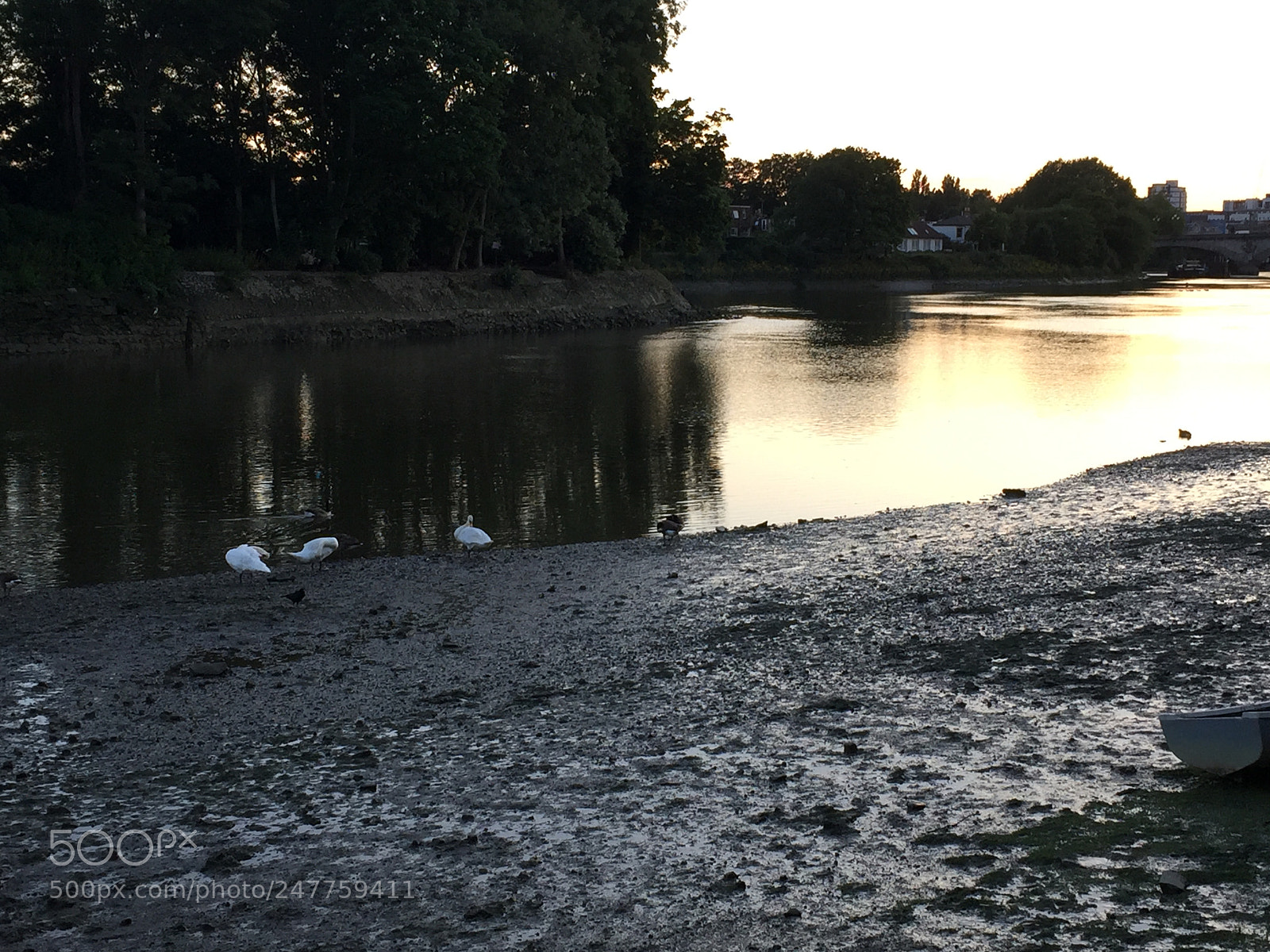 Apple iPhone 6 sample photo. Untitled photography