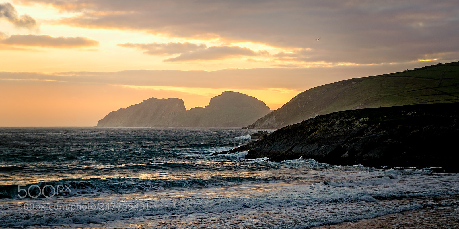 Nikon D600 sample photo. Puffin island at dusk photography