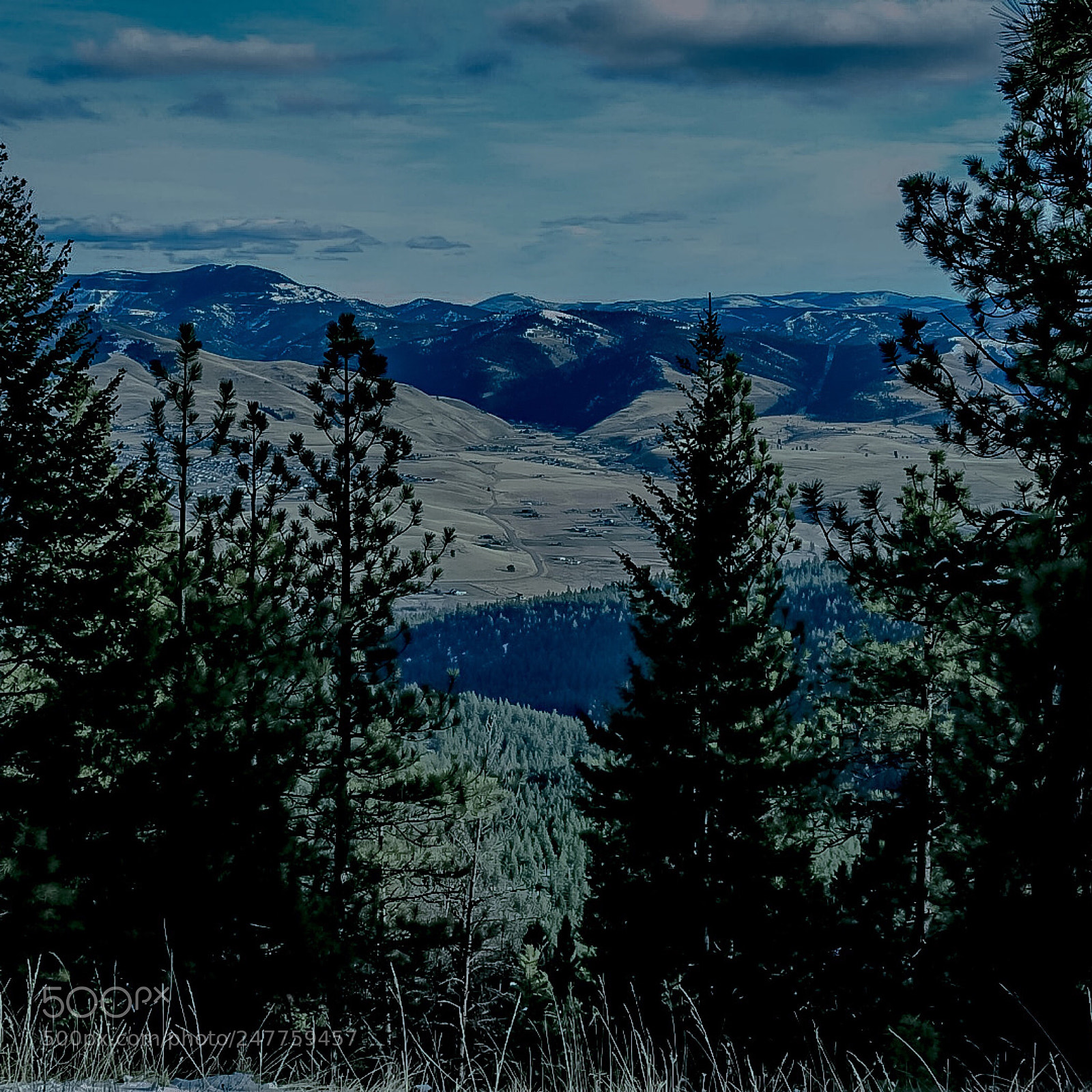 Nikon Coolpix P900 sample photo. Omniscient perception photography