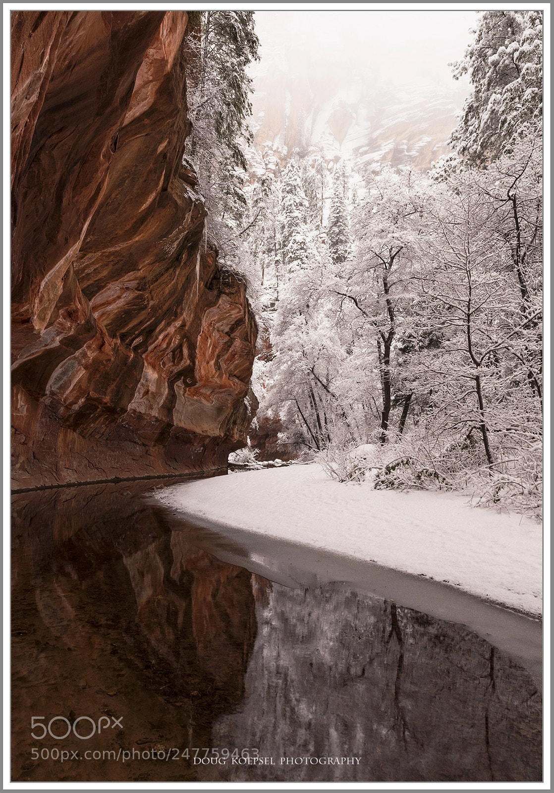 Nikon D810 sample photo. Call of the canyon photography
