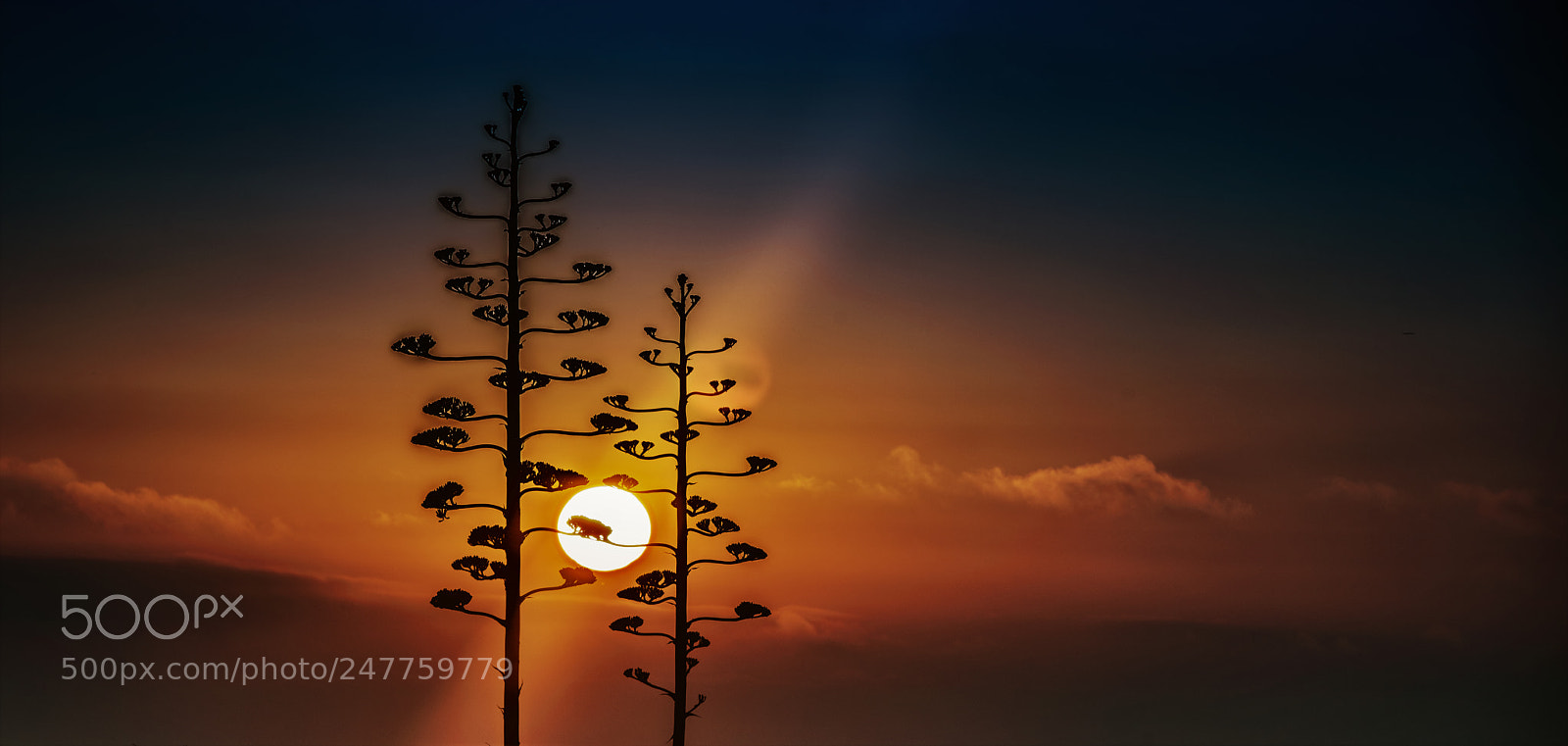 Nikon D810 sample photo. Sunrise photography