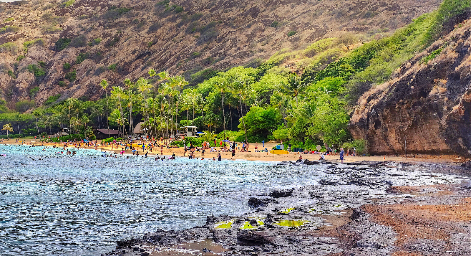 Fujifilm X-T1 sample photo. Winter dreaming of hawaii photography
