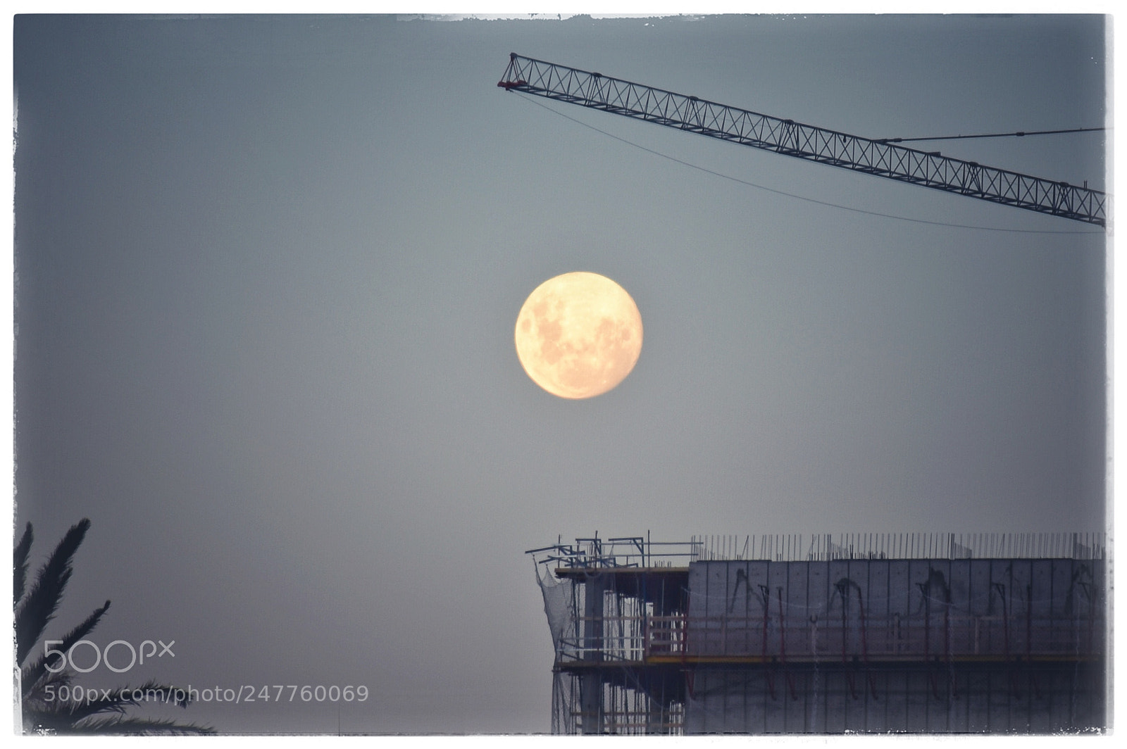 Nikon D7200 sample photo. Ascending moon photography