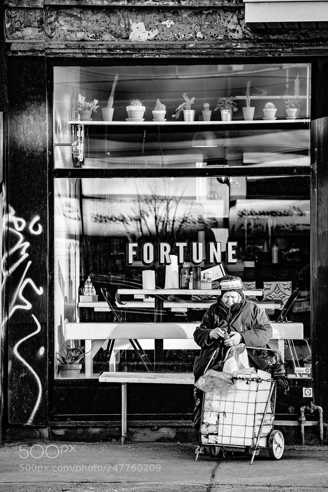 Sony a7R II sample photo. Fortune photography