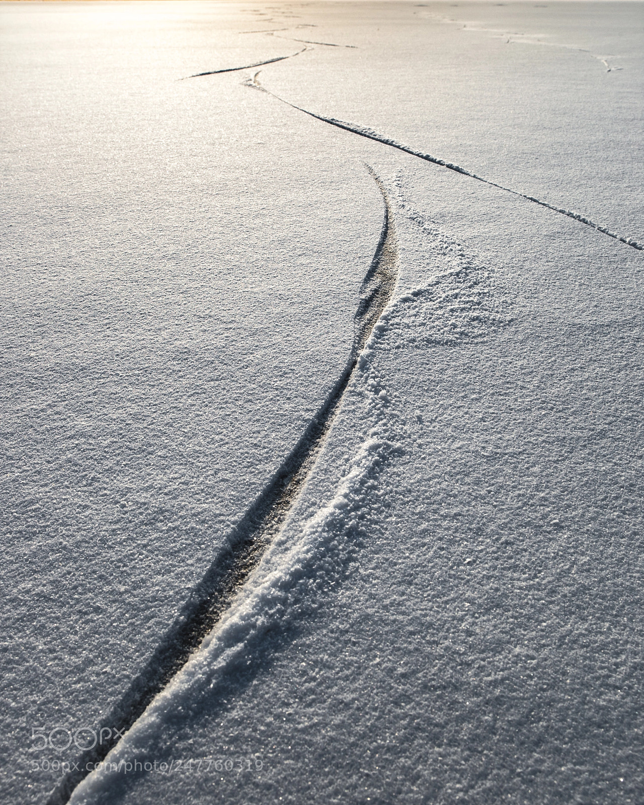 Canon EOS-1D Mark III sample photo. Tracks photography
