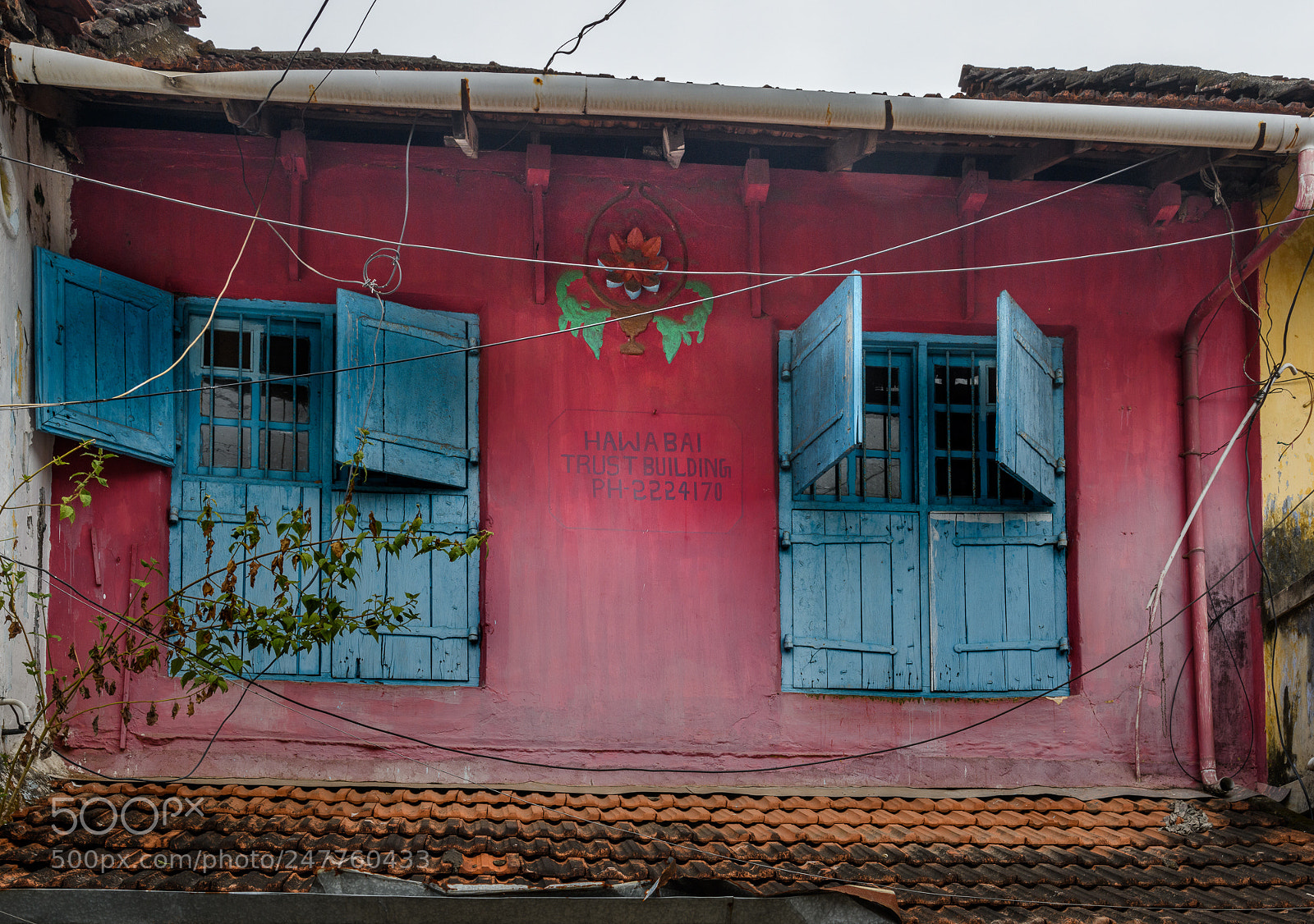 Nikon D850 sample photo. Windows of kochi photography