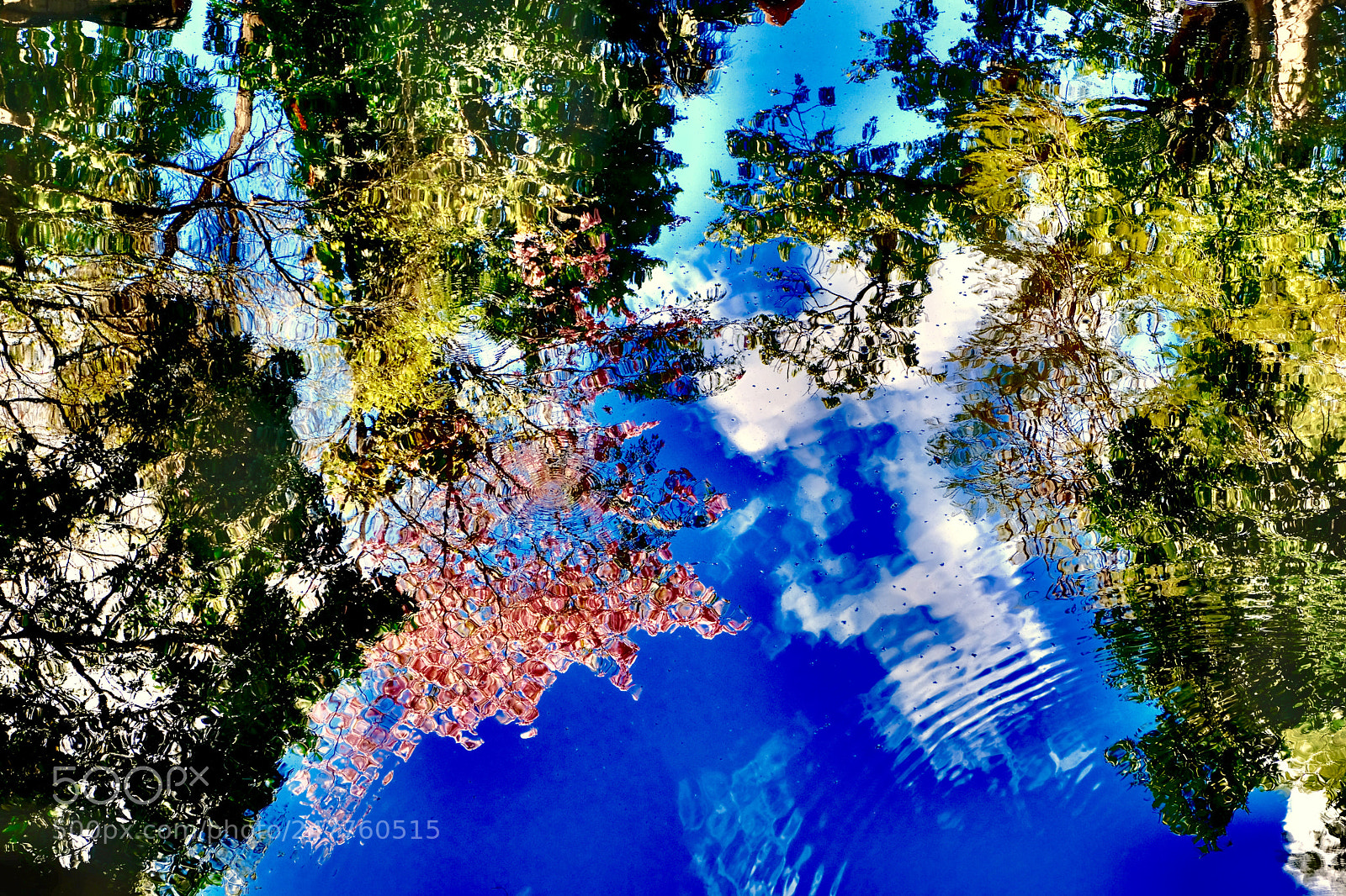 Fujifilm X-T2 sample photo. Cenote reflection valladolid photography