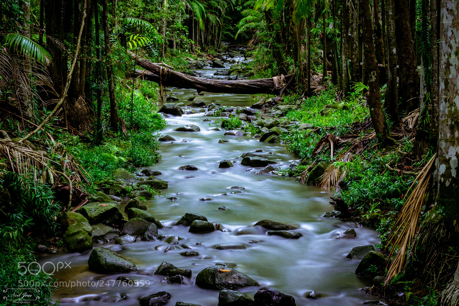 Nikon D3400 sample photo. Flowing creek photography