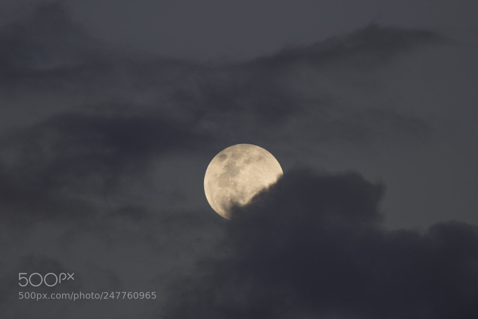 Canon EOS 600D (Rebel EOS T3i / EOS Kiss X5) sample photo. Full moon photography