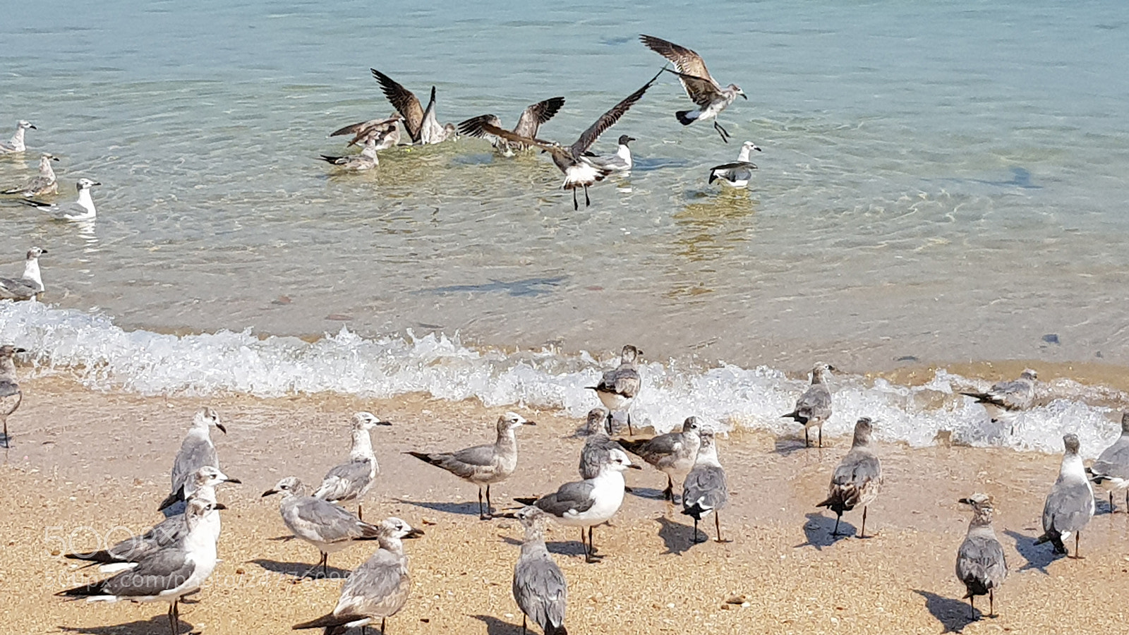 Samsung Galaxy S8+ sample photo. Untitled photography
