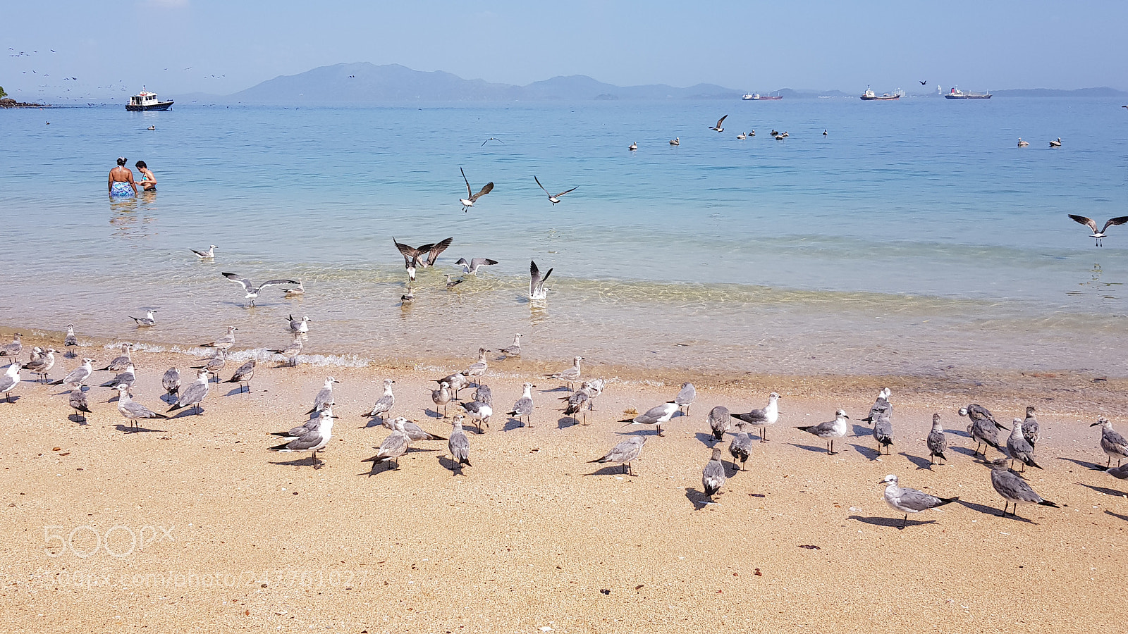 Samsung Galaxy S8+ sample photo. Untitled photography