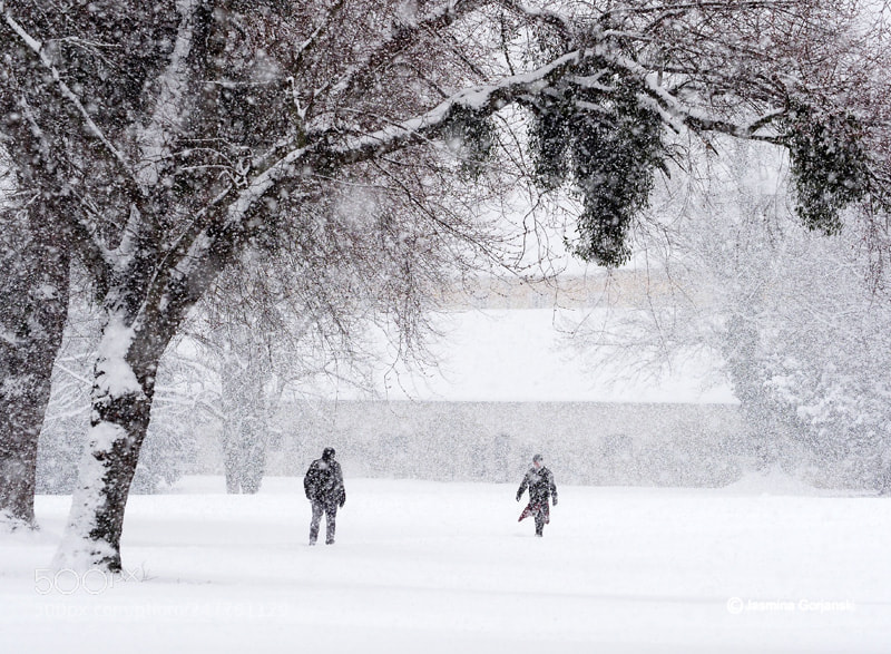 Olympus OM-D E-M1 Mark II sample photo. Snow day photography