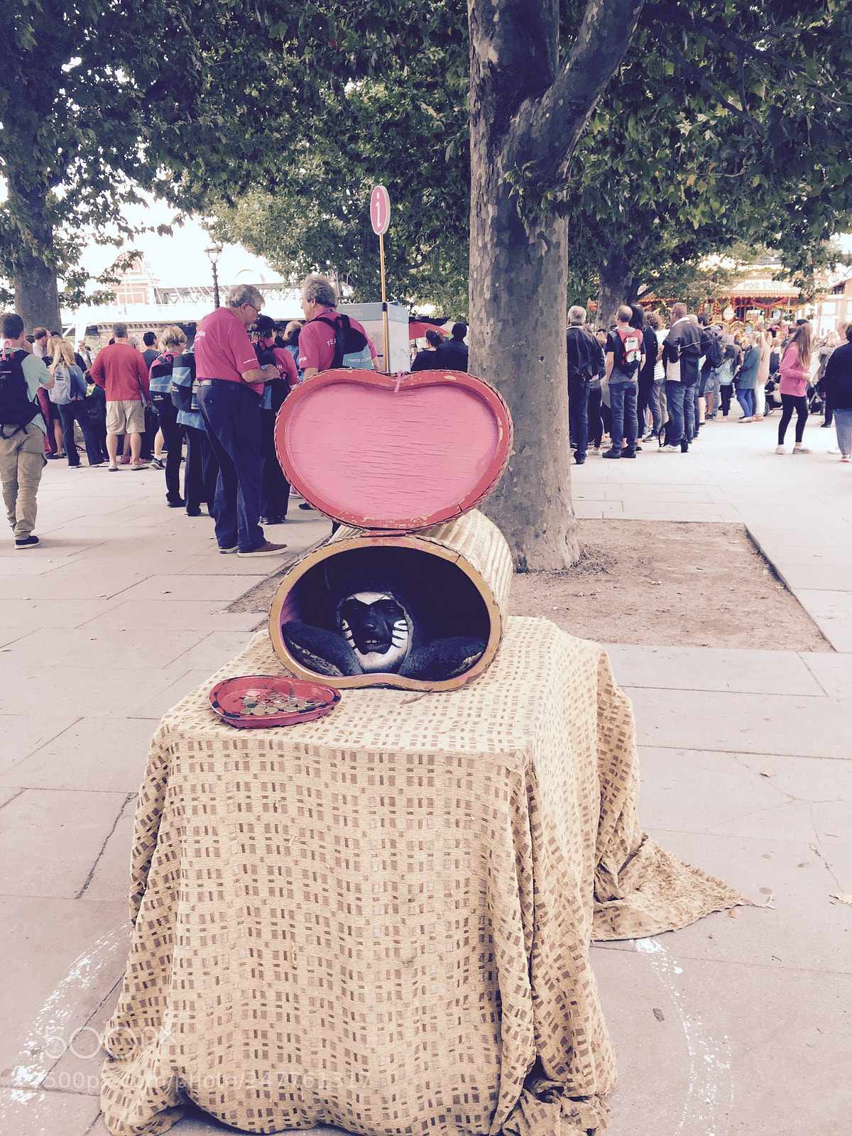 Apple iPhone 6 sample photo. Untitled photography