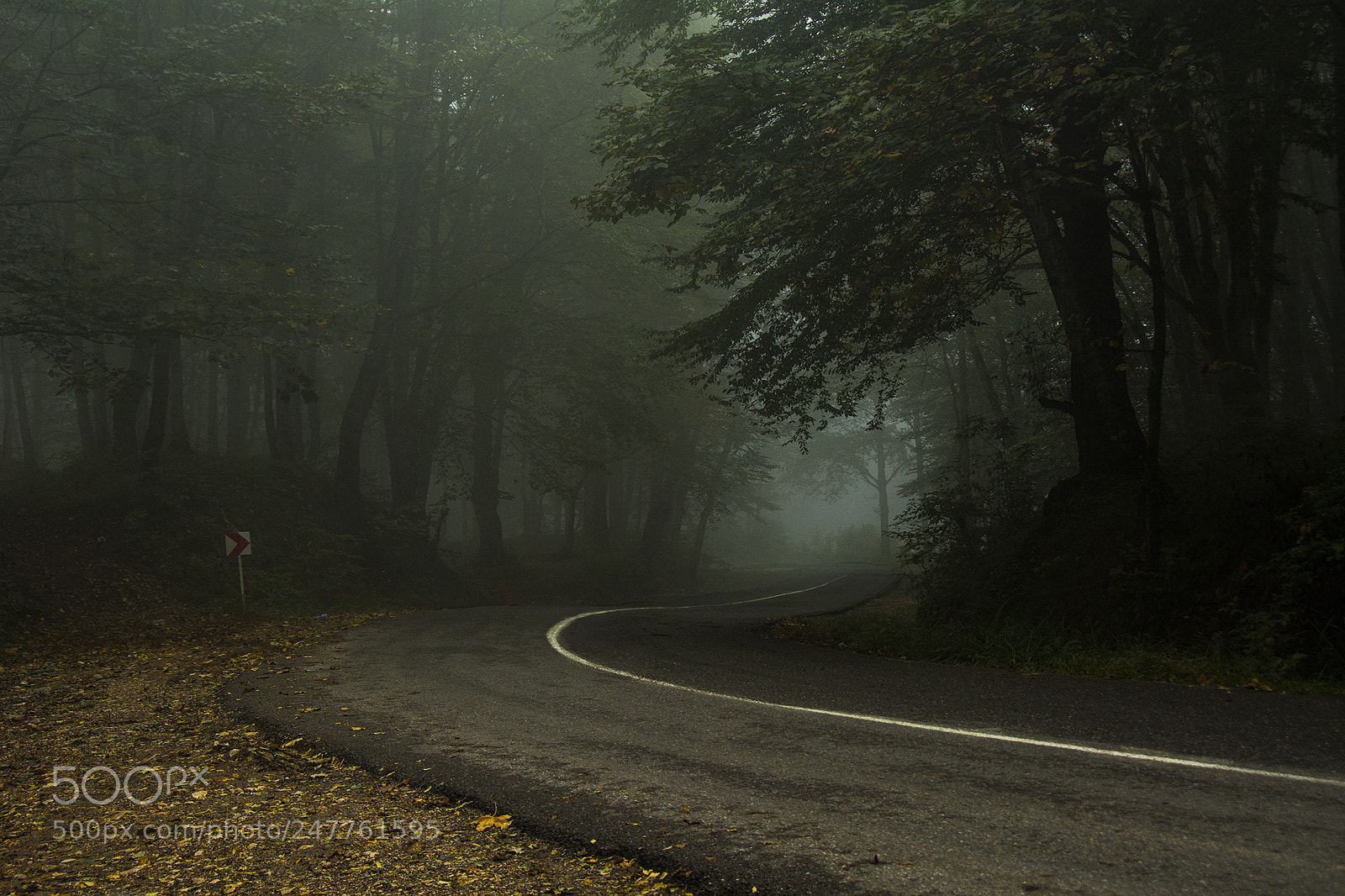 Nikon D7100 sample photo. Untitled photography