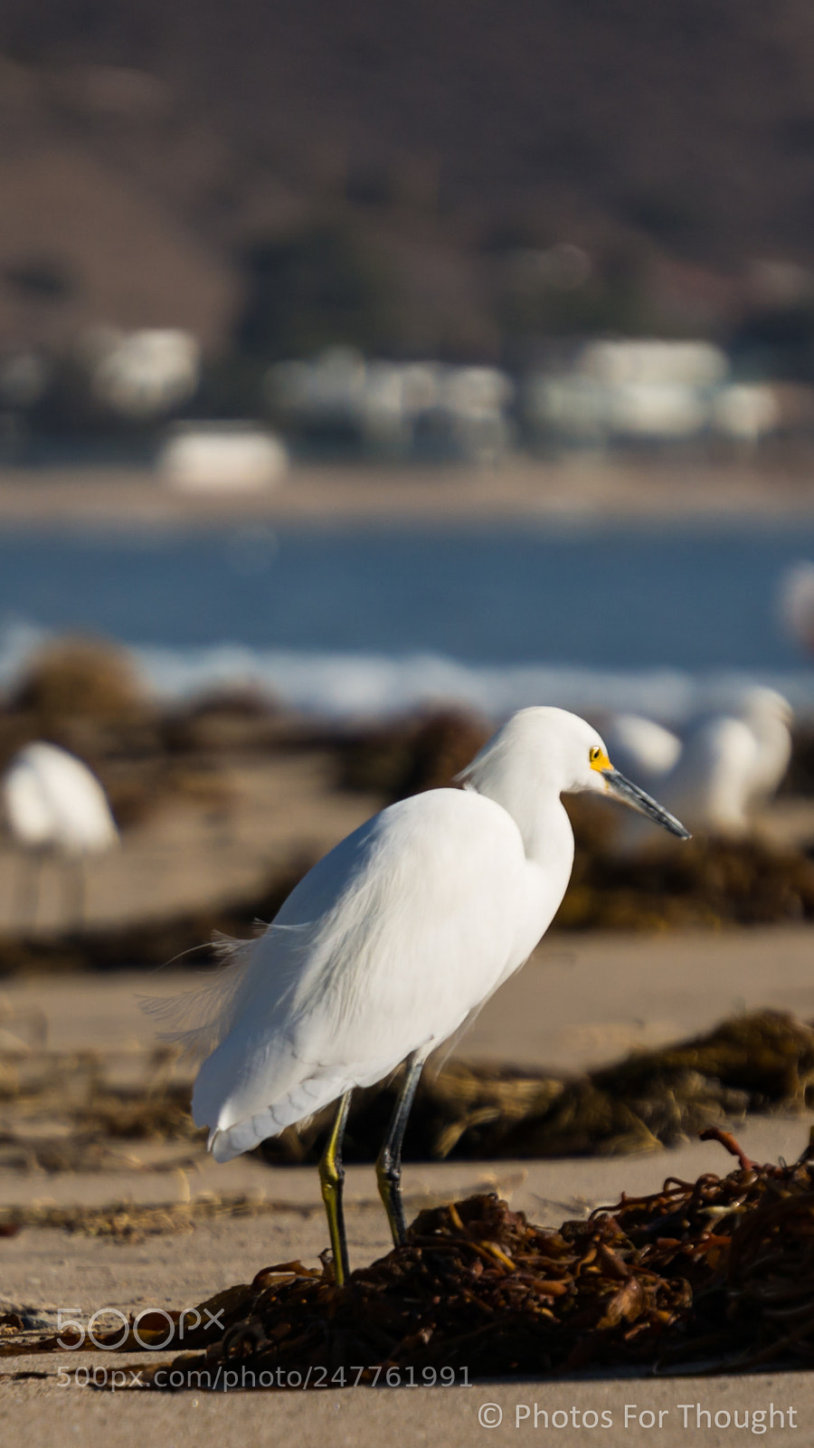 Sony Alpha NEX-5R sample photo. Surf photography