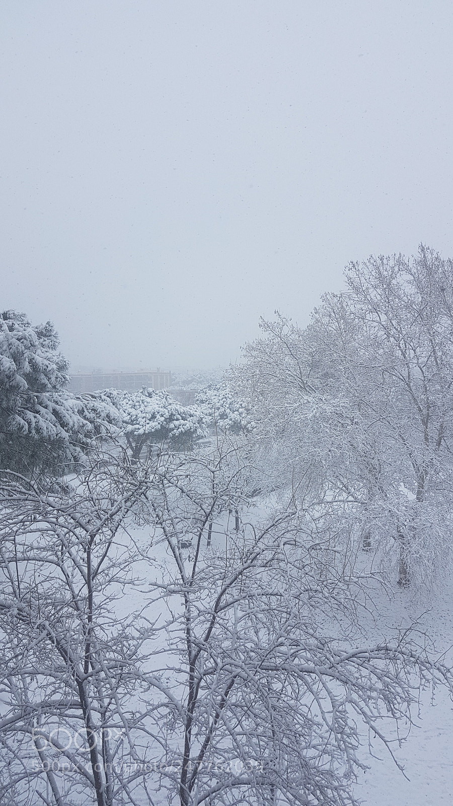 Samsung Galaxy S7 Edge sample photo. Let it snow! photography
