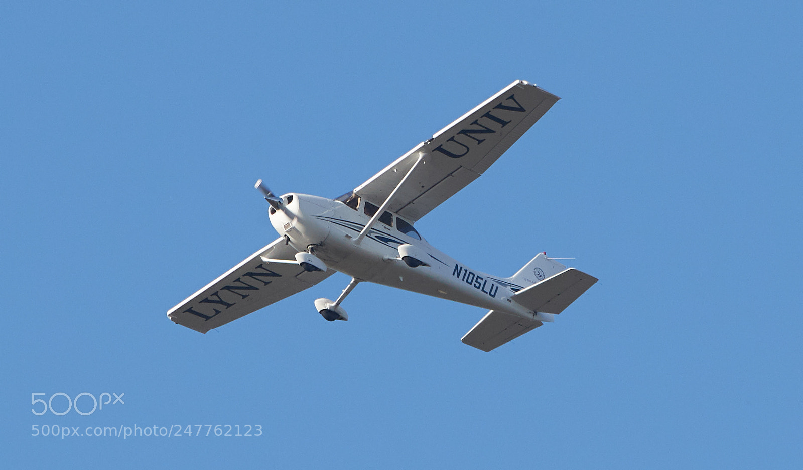 Canon EOS-1D X Mark II sample photo. 02-28-18-0005750.jpg photography