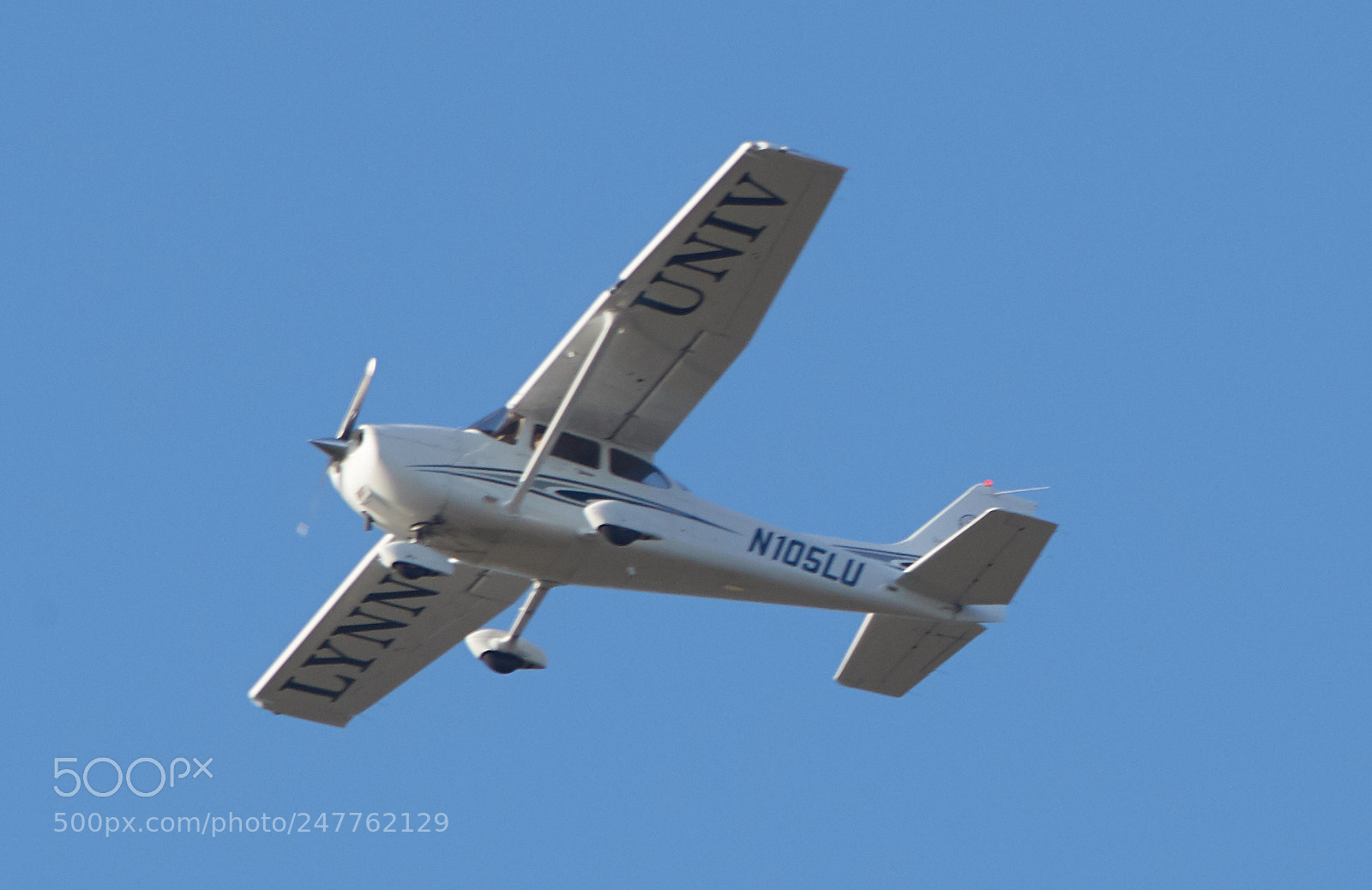 Canon EOS-1D X Mark II sample photo. 02-28-18-0005748.jpg photography