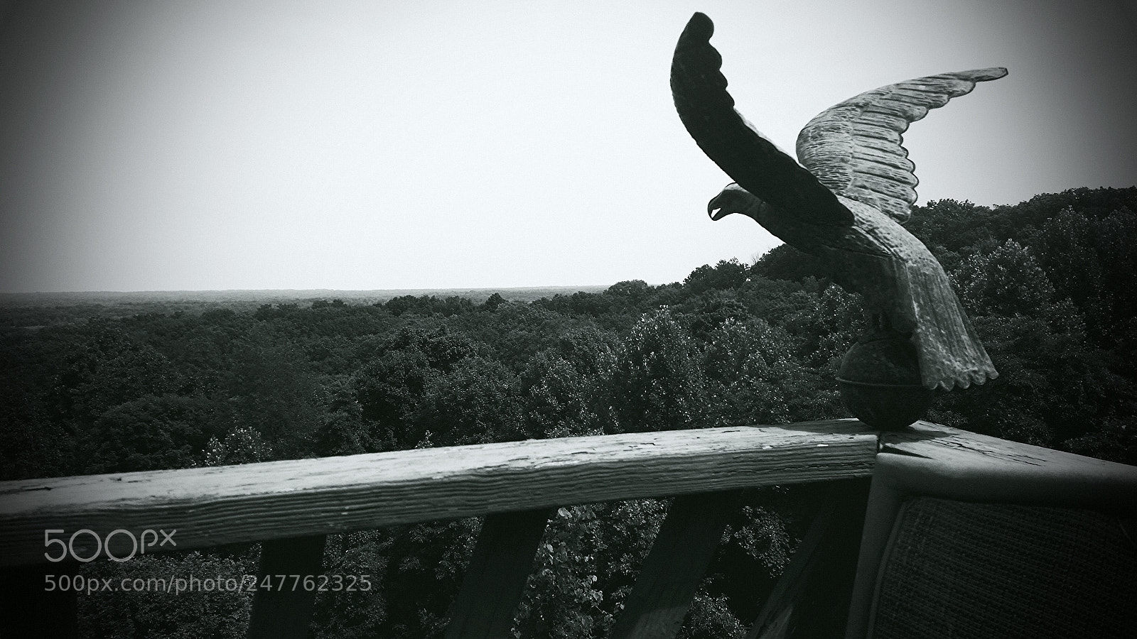 Samsung Galaxy S5 sample photo. Untitled photography