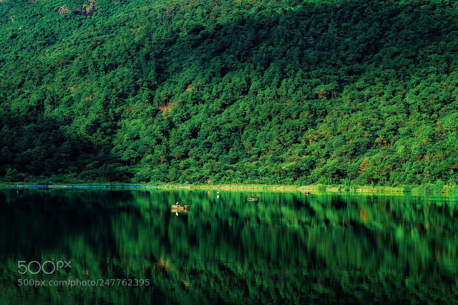 Sony a7 II sample photo. Huizhou-鹽洲島 photography