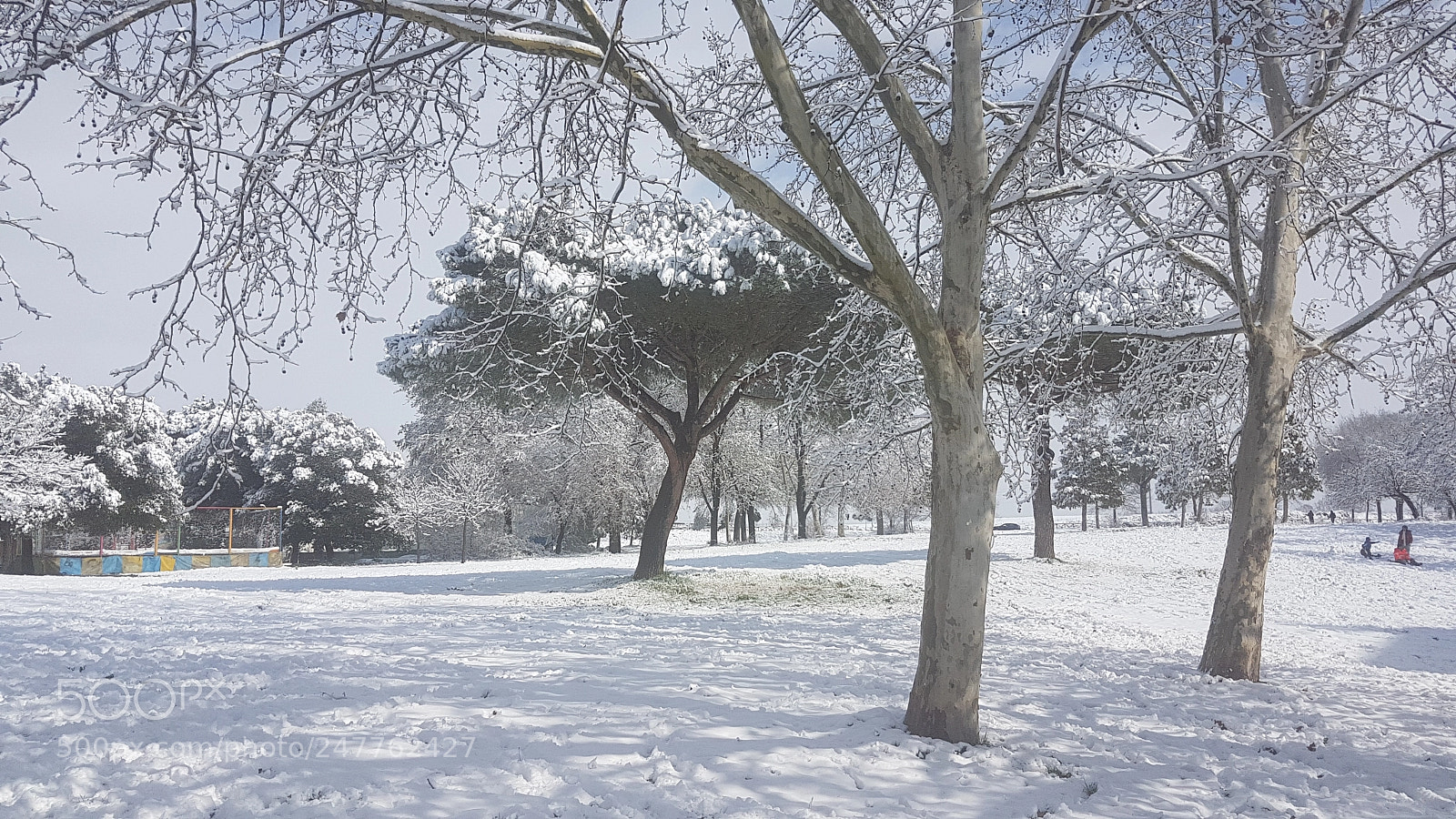 Samsung Galaxy S7 Edge sample photo. E fuori nevica! photography
