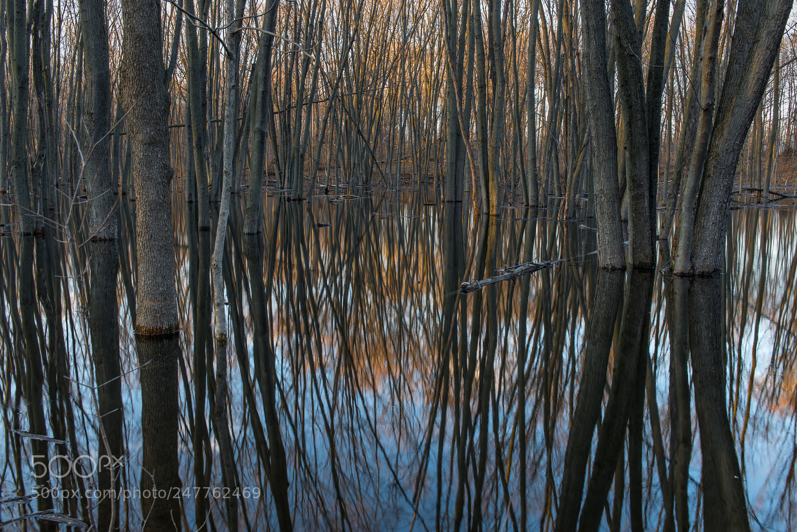 Nikon D610 sample photo. Miroir photography