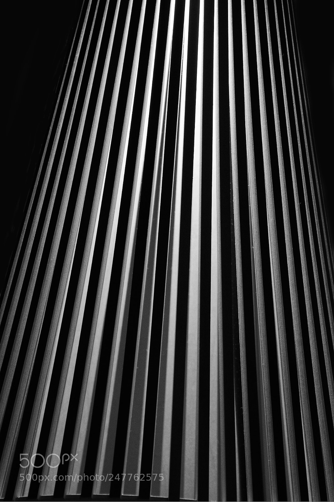 Nikon D7200 sample photo. Lampshade photography