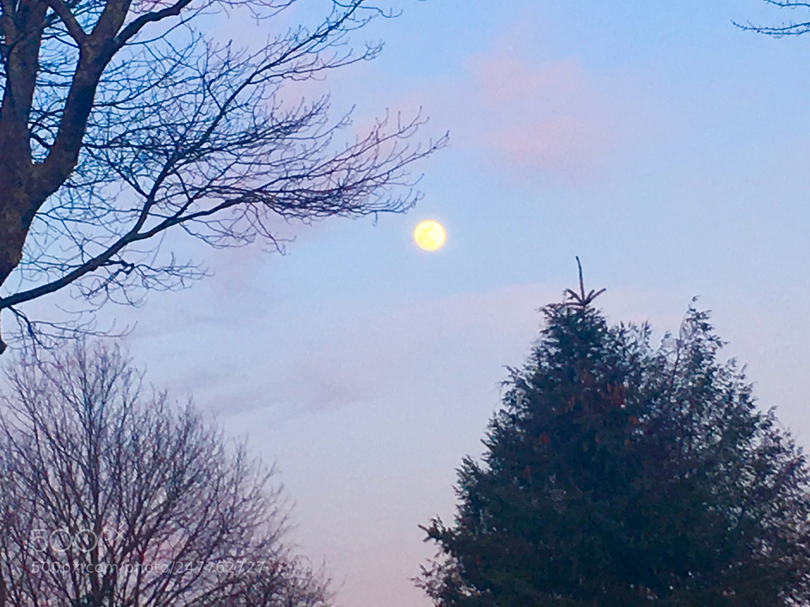 Apple iPhone 6s Plus sample photo. Evening is here... photography