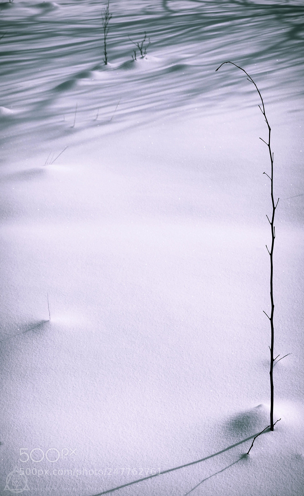Pentax K-70 sample photo. Versus photography