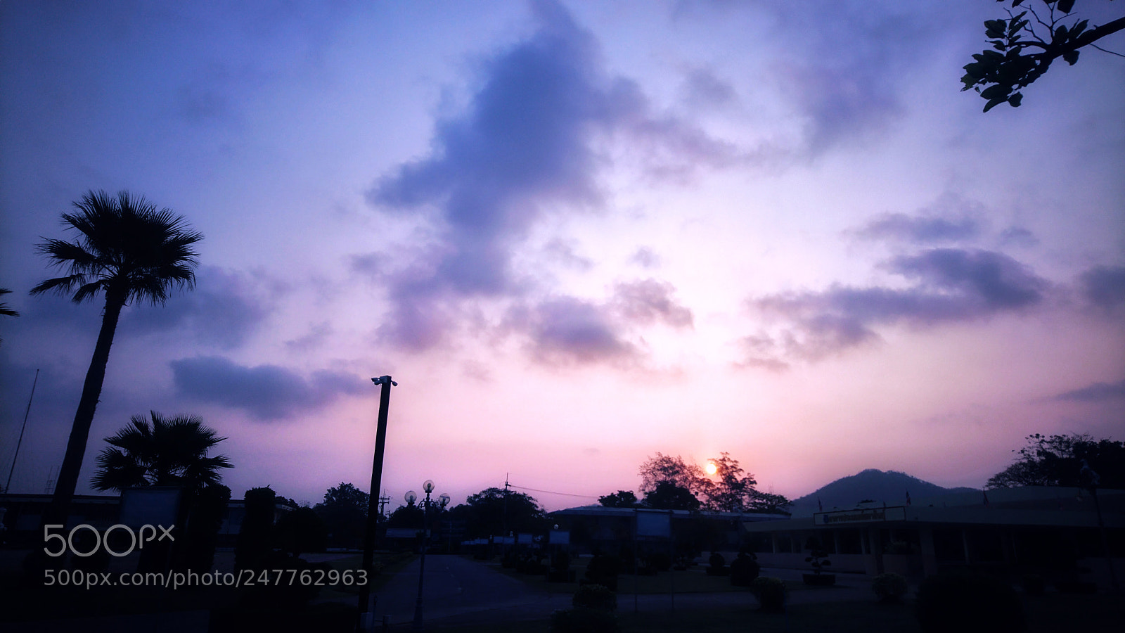 Sony Xperia X sample photo. Morning photography