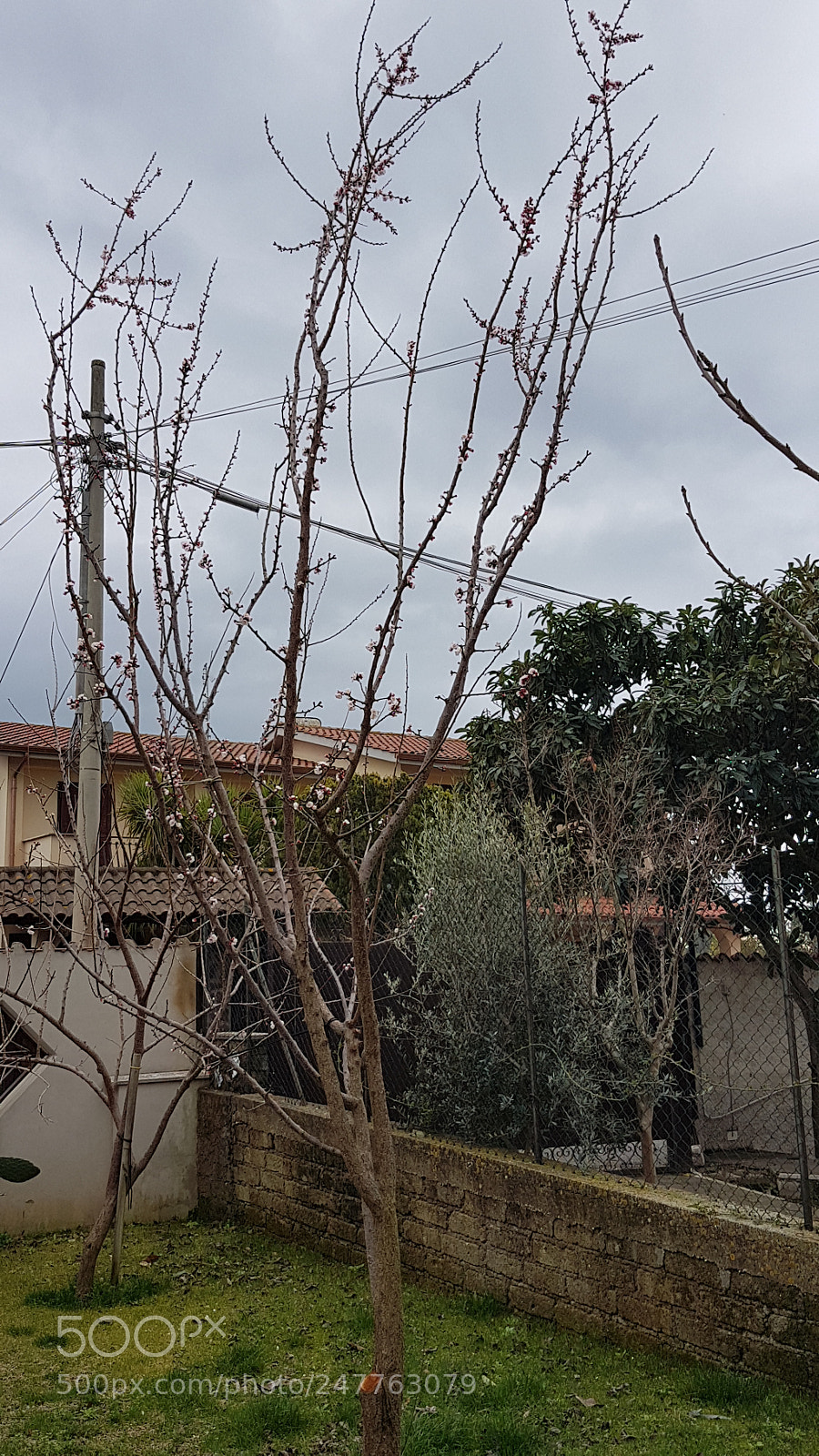 Samsung Galaxy S7 Edge sample photo. Aspettando la neve... inconsapevole photography