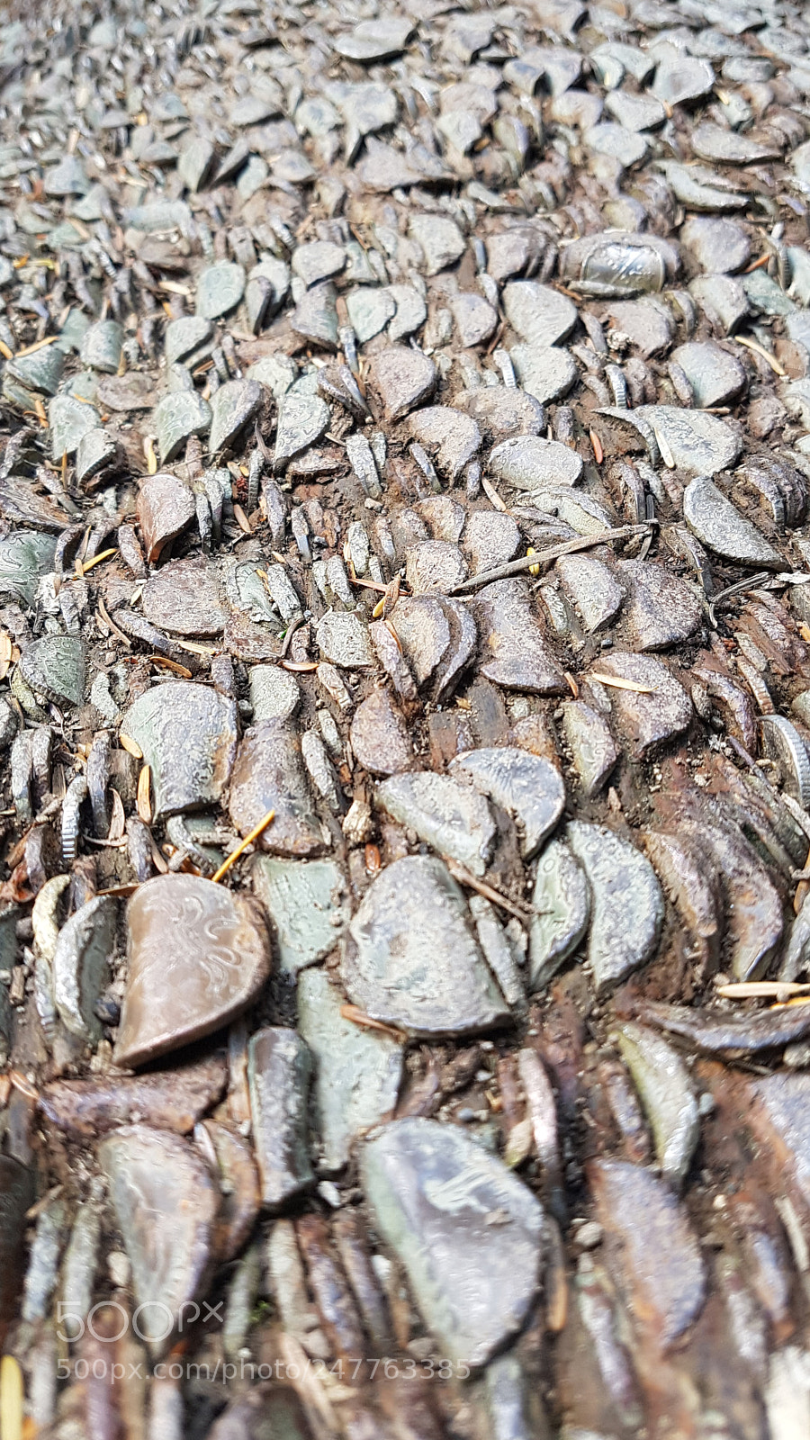 Samsung Galaxy S7 Edge sample photo. Untitled photography