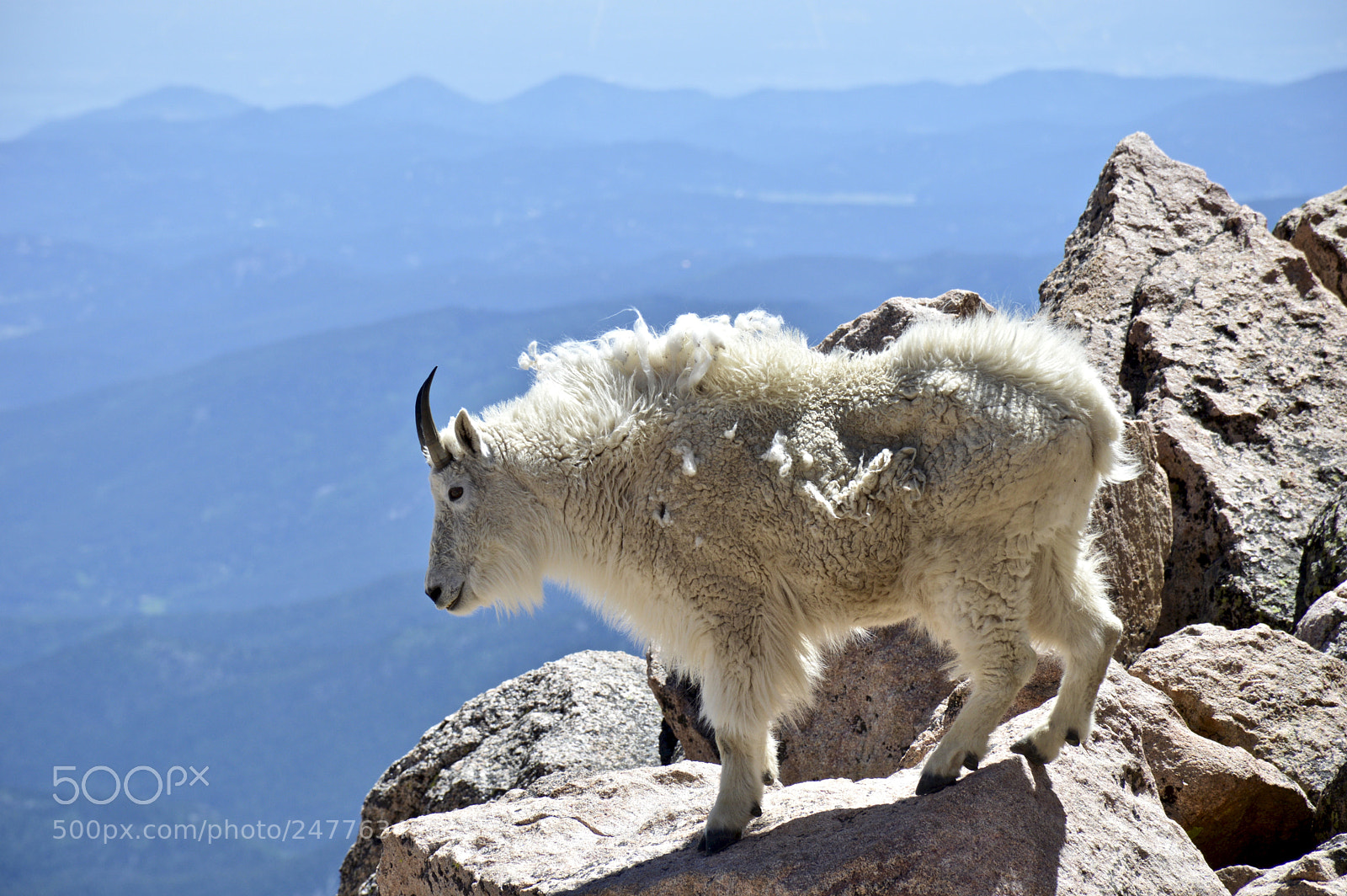 Nikon D3200 sample photo. Mount evans, colorado photography