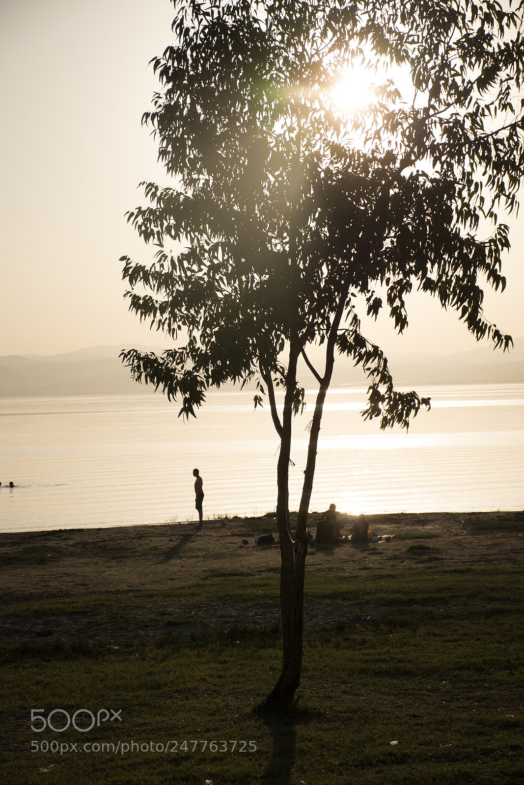 Nikon D7200 sample photo. Untitled photography