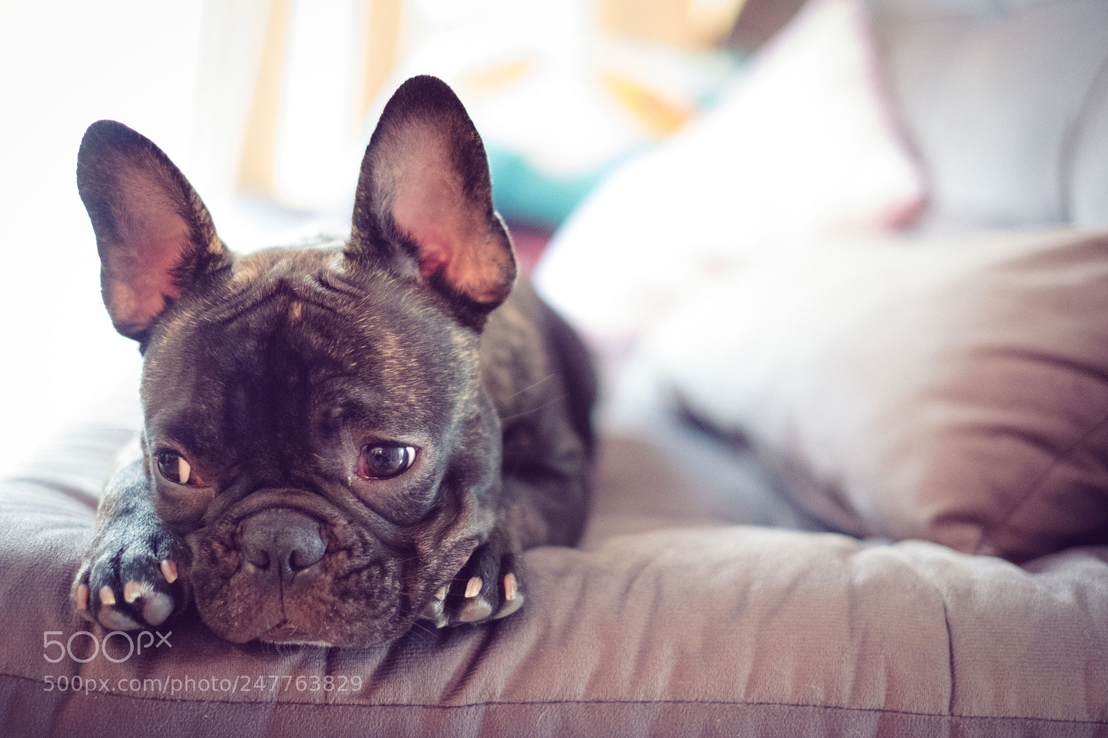 Fujifilm X-T2 sample photo. Untitled photography