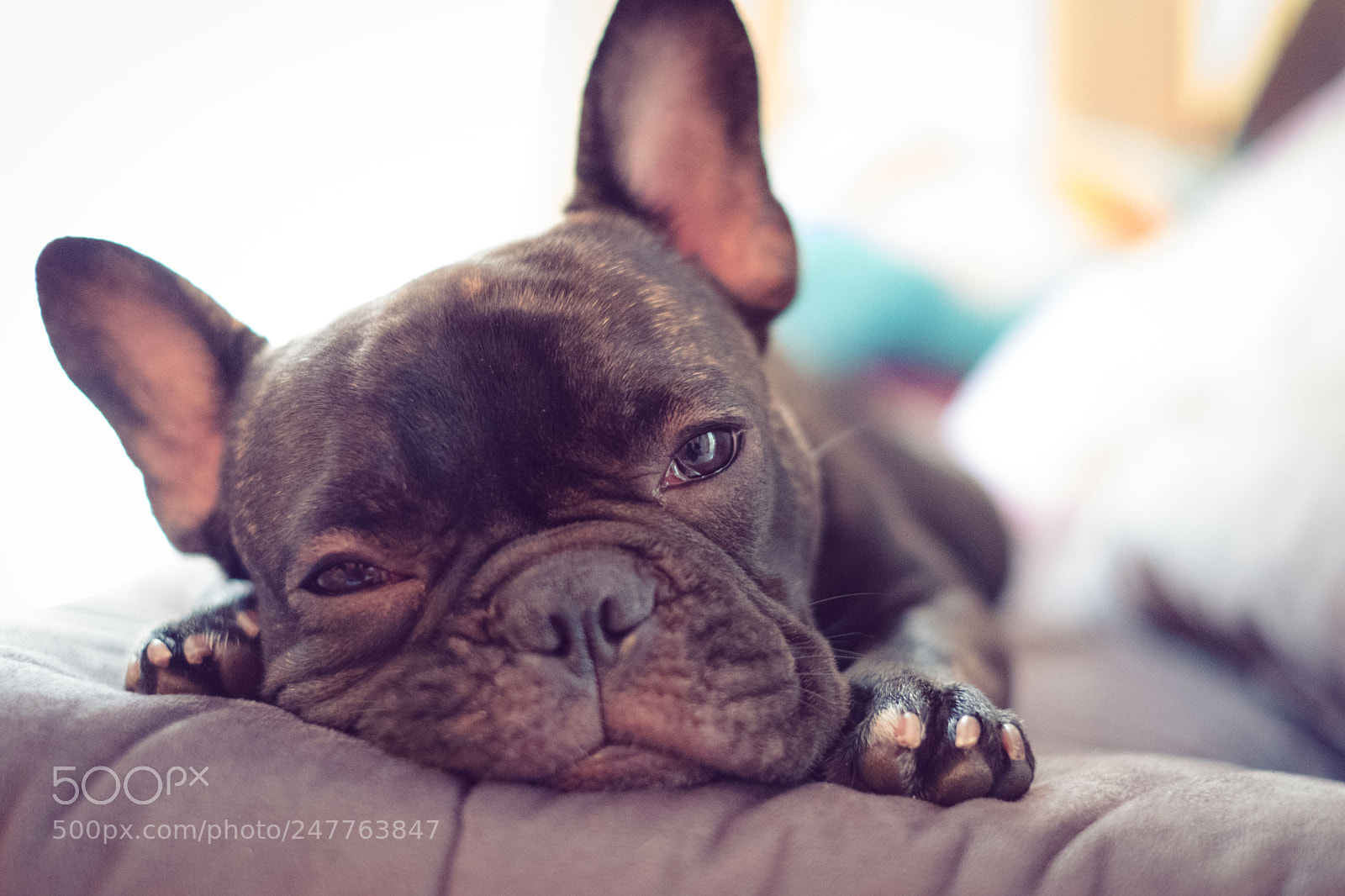 Fujifilm X-T2 sample photo. Untitled photography