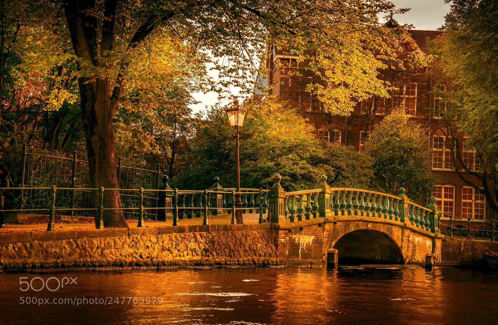 Nikon D800 sample photo. Amsterdam photography