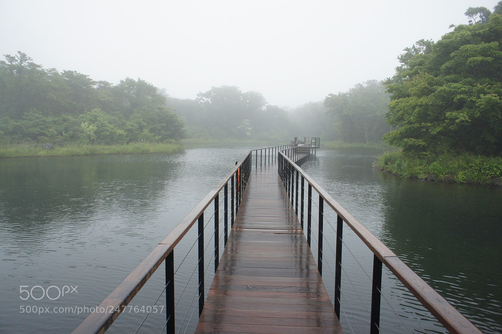 Sony Alpha NEX-5 sample photo. Trail over the lake photography