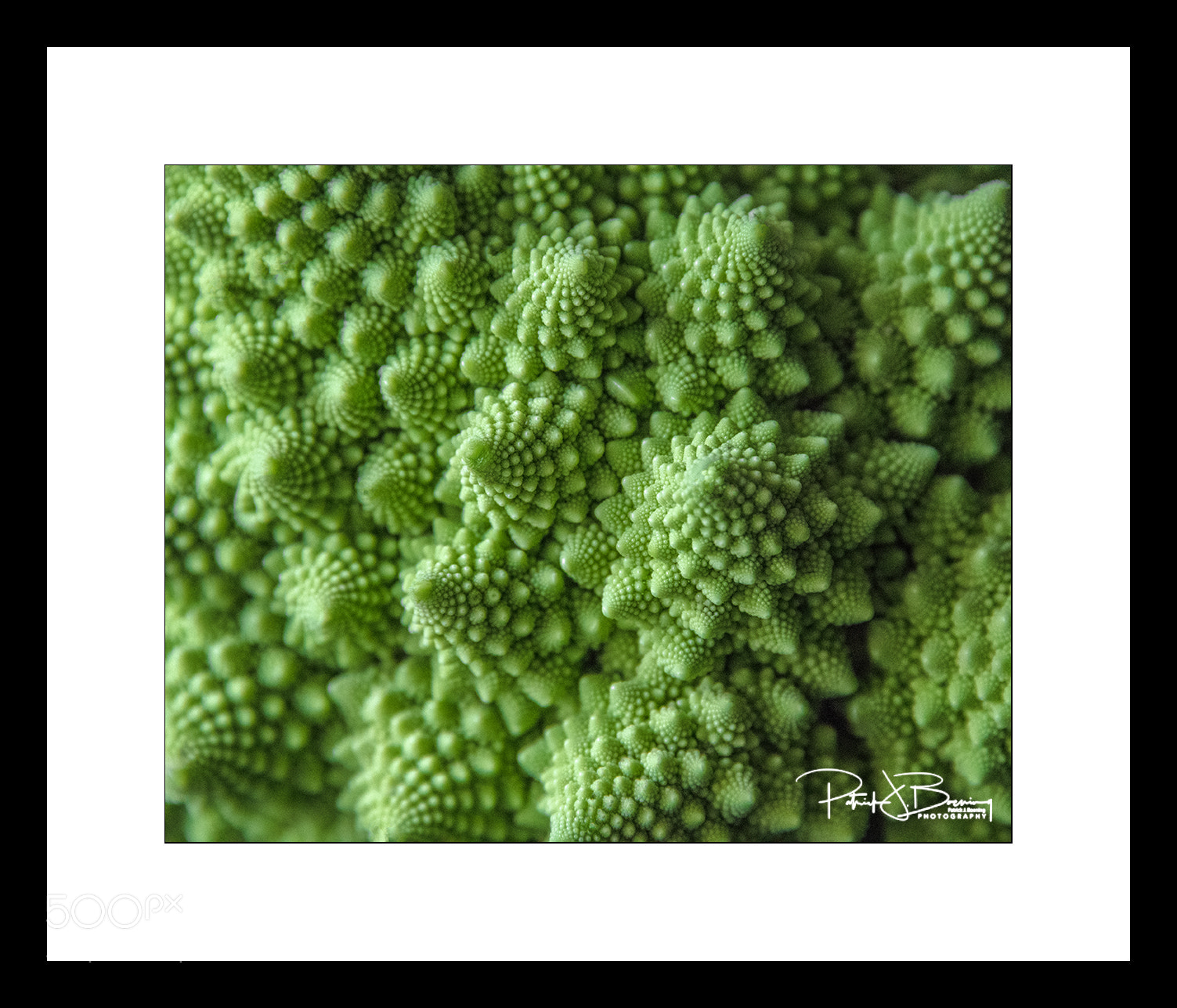 Nikon D850 sample photo. Broccoflower photography