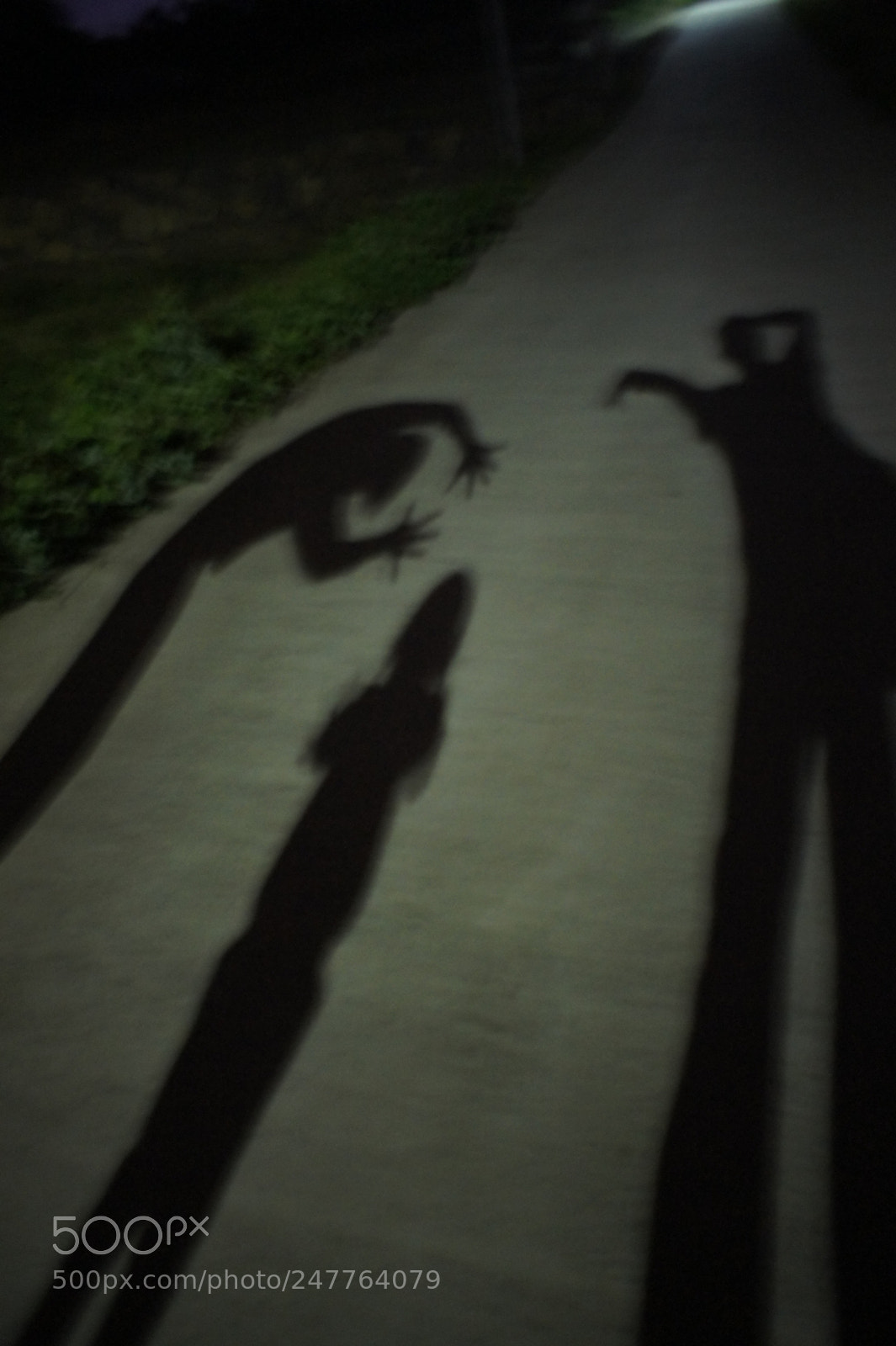 Sony Alpha NEX-5 sample photo. Shadow pictures photography