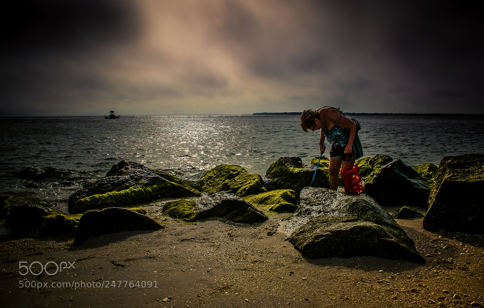 Nikon D7100 sample photo. Shell game photography