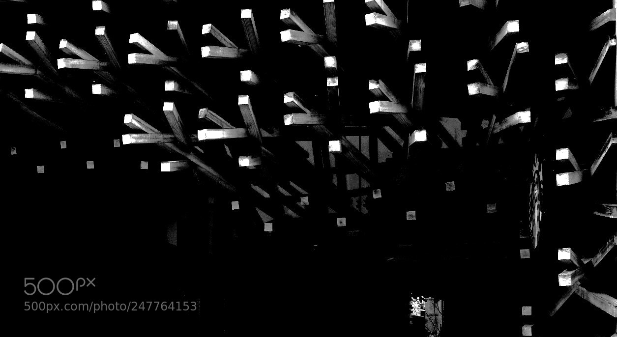 Fujifilm X-T2 sample photo. Untitled photography