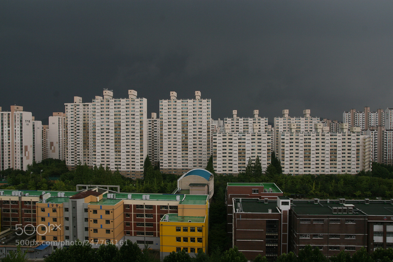 Canon EOS 30D sample photo. Img photography