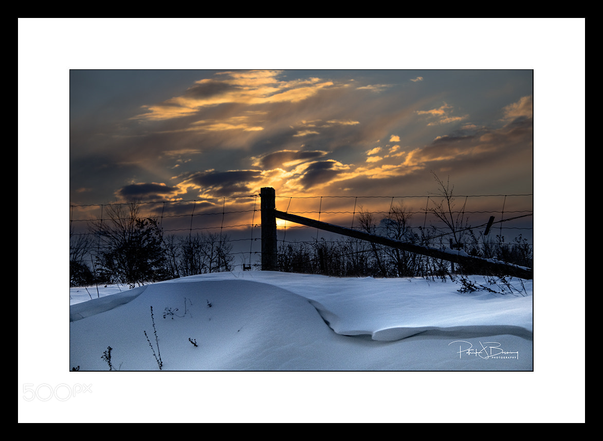 Nikon D850 sample photo. Winter photography