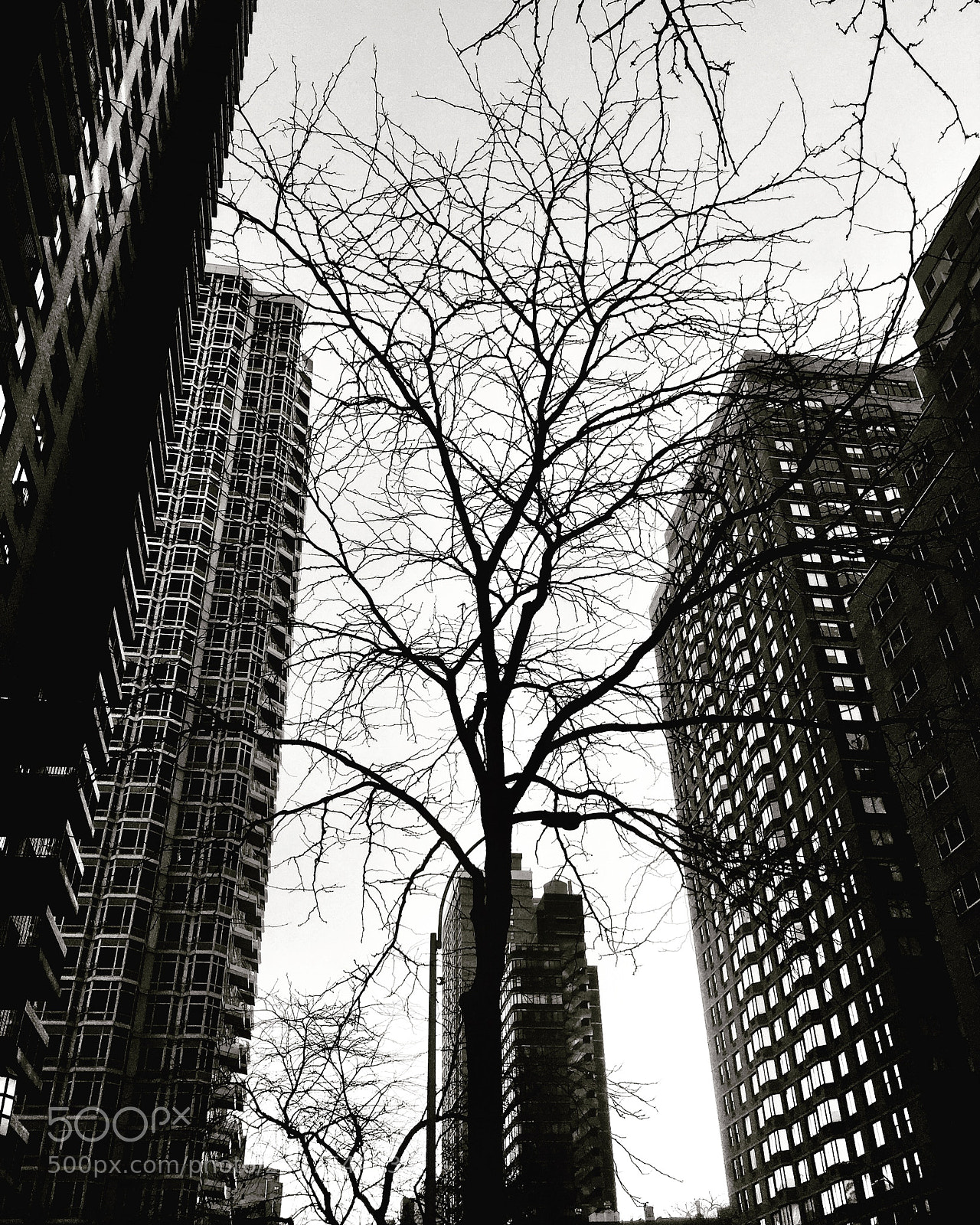 Apple iPhone 6 Plus sample photo. “nature vs. man” photography