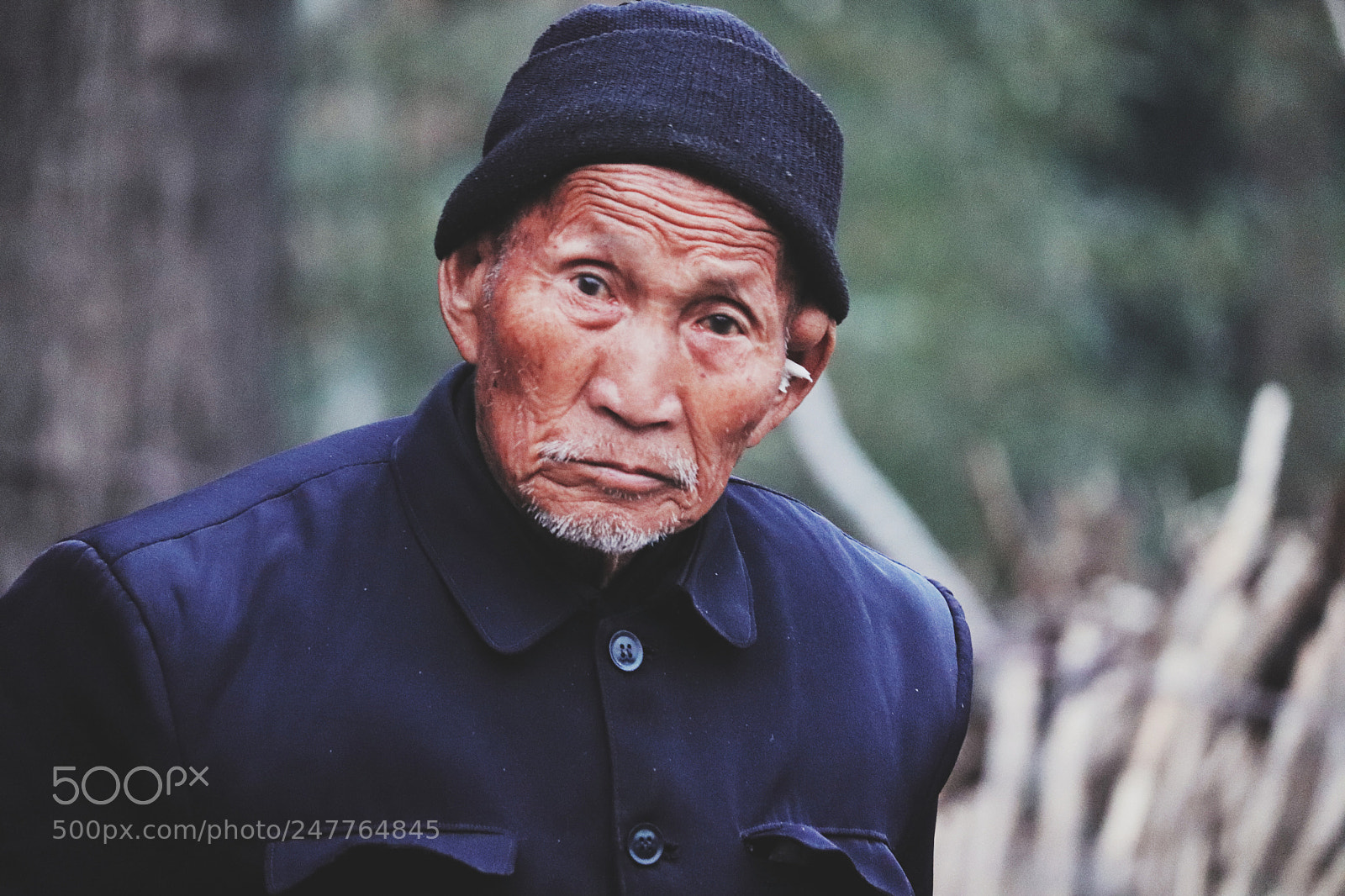 Canon EOS 800D (EOS Rebel T7i / EOS Kiss X9i) sample photo. The elderly photography