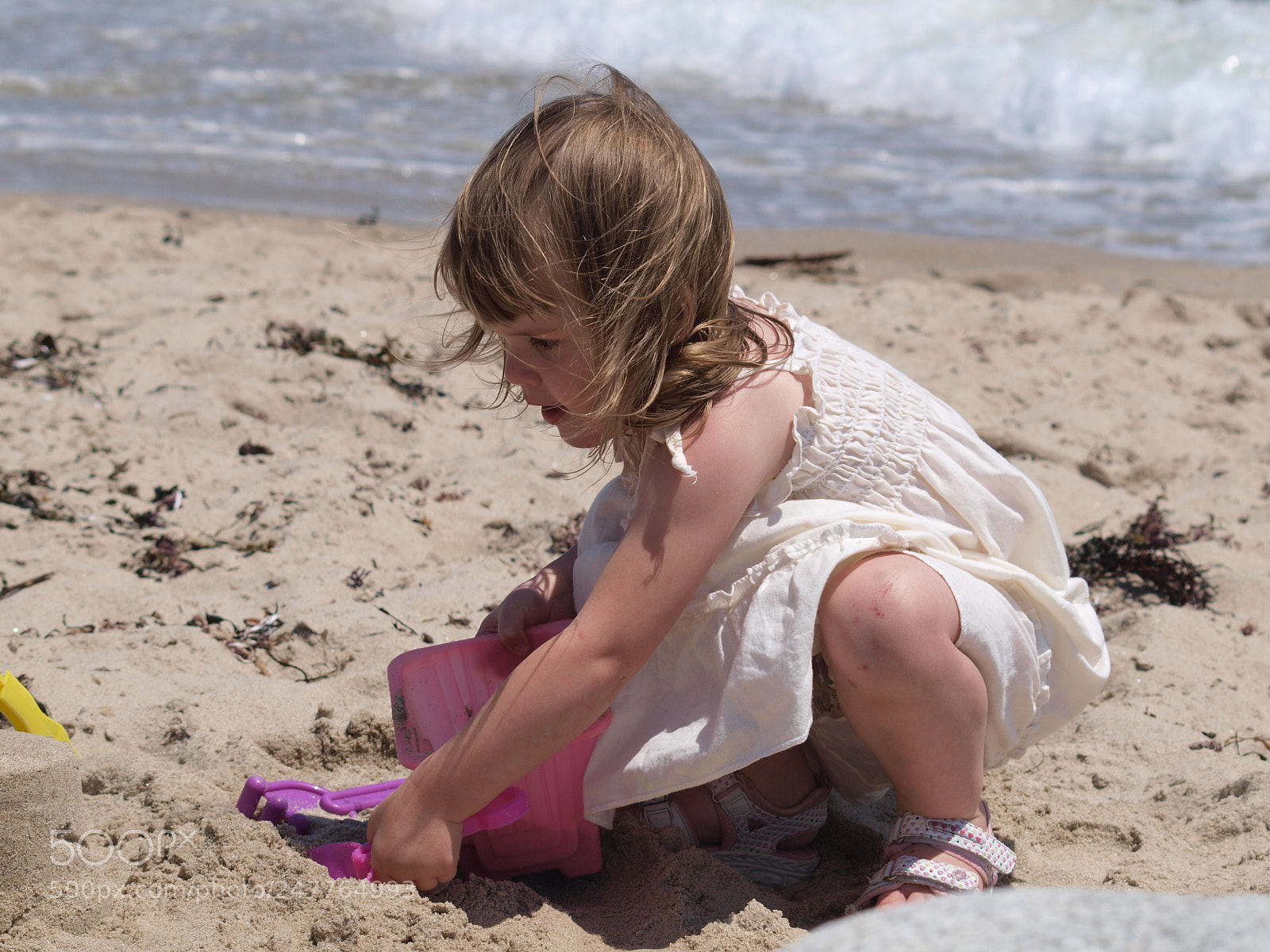 Olympus E-520 (EVOLT E-520) sample photo. This is nova scotia photography